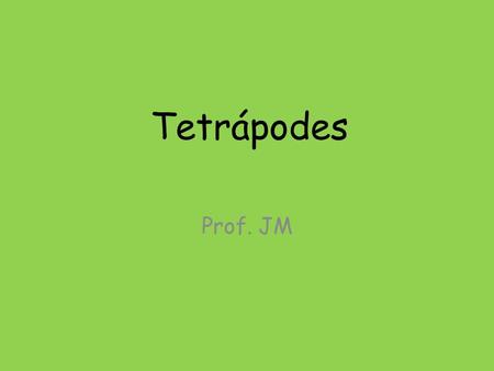 Tetrápodes Prof. JM.