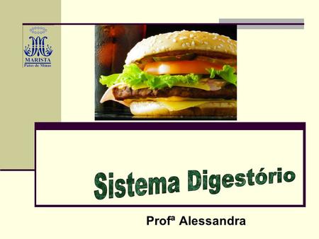 Sistema Digestório Profª Alessandra.
