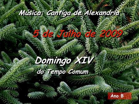 5 de Julho de 2009 Música: Cantiga de Alexandria Domingo XIV