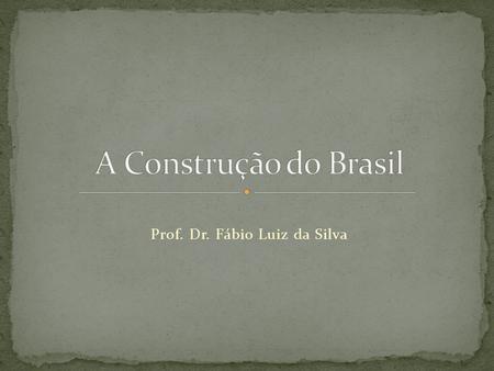 Prof. Dr. Fábio Luiz da Silva
