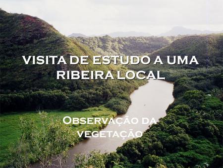 VISITA DE ESTUDO A UMA RIBEIRA LOCAL Observação da vegetação.