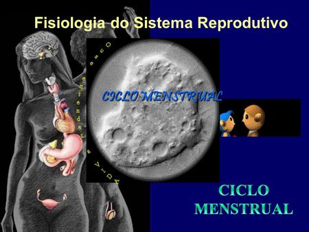 Fisiologia do Sistema Reprodutivo