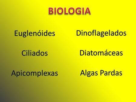BIOLOGIA Euglenóides Dinoflagelados Ciliados Diatomáceas Apicomplexas