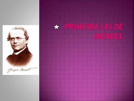 Primeira Lei de Mendel.