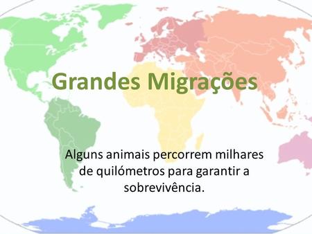 Grandes Migrações Alguns animais percorrem milhares de quilómetros para garantir a sobrevivência.