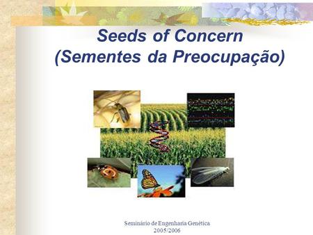 Seeds of Concern (Sementes da Preocupação)