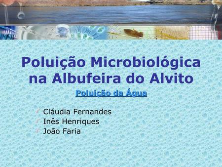 Poluição Microbiológica na Albufeira do Alvito