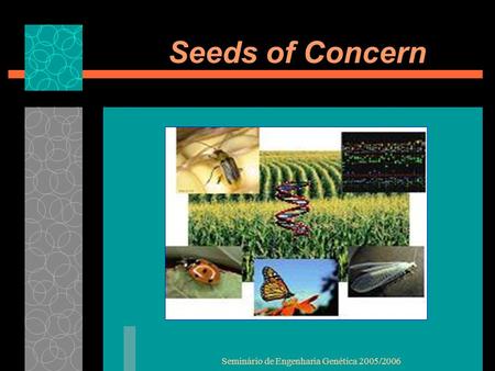 Seminário de Engenharia Genética 2005/2006 Seeds of Concern.