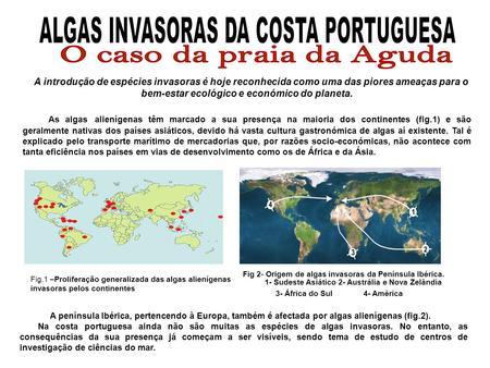 ALGAS INVASORAS DA COSTA PORTUGUESA