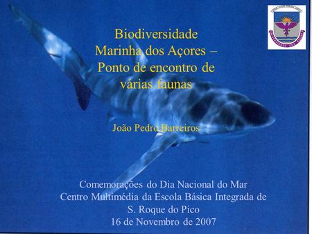 Biodiversidade Marinha dos Açores – Ponto de encontro de várias faunas