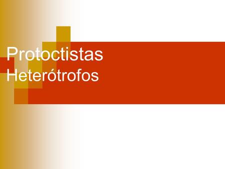 Protoctistas Heterótrofos