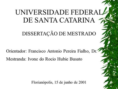 UNIVERSIDADE FEDERAL DE SANTA CATARINA DISSERTAÇÃO DE MESTRADO