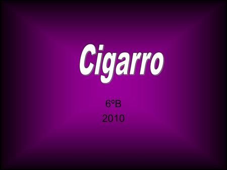 Cigarro 6ºB 2010.