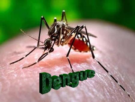 Dengue.