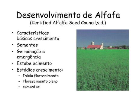 Desenvolvimento de Alfafa (Certified Alfalfa Seed Council,s.d.)