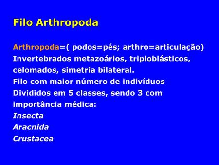 Filo Arthropoda Arthropoda=( podos=pés; arthro=articulação)