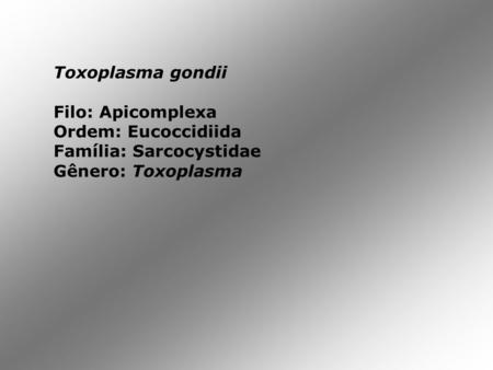 Toxoplasma gondii Filo: Apicomplexa Ordem: Eucoccidiida