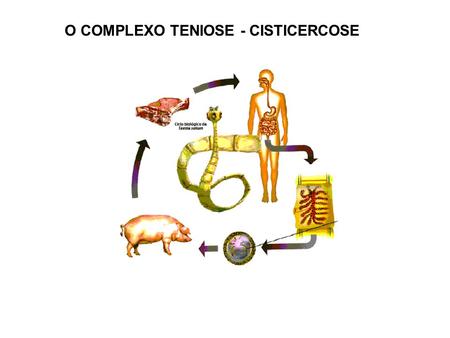 O COMPLEXO TENIOSE - CISTICERCOSE