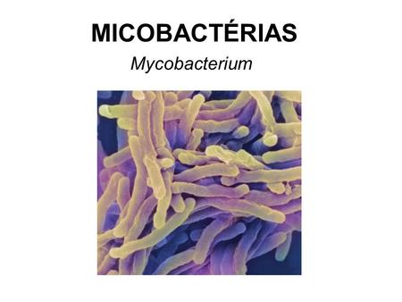 MICOBACTÉRIAS Mycobacterium.