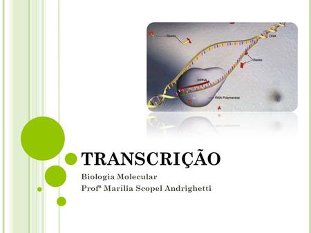 TRANSCRIÇÃO Biologia Molecular Profª Marília Scopel Andrighetti.