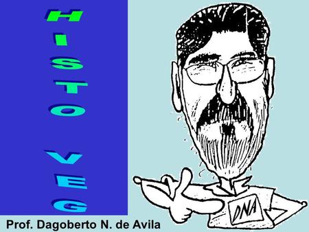 Prof. Dagoberto N. de Avila