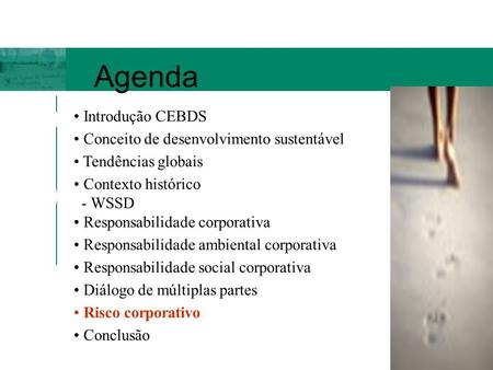 Agenda Introdução CEBDS Conceito de desenvolvimento sustentável Tendências globais Contexto histórico - WSSD Responsabilidade corporativa Responsabilidade.