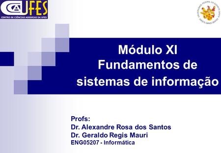 Módulo XI Fundamentos de sistemas de informação