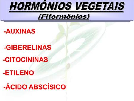HORMÔNIOS VEGETAIS (Fitormônios) -GIBERELINAS -CITOCININAS -ETILENO