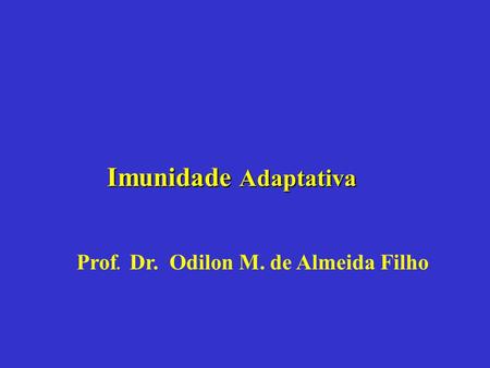 Prof. Dr. Odilon M. de Almeida Filho