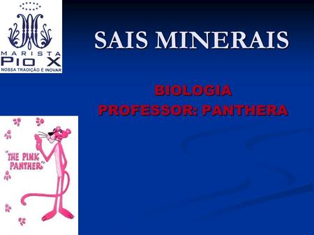 BIOLOGIA PROFESSOR: PANTHERA
