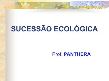 SUCESSÃO ECOLÓGICA Prof. PANTHERA.