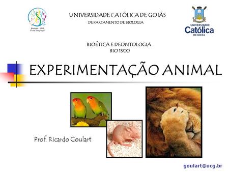 EXPERIMENTAÇÃO ANIMAL