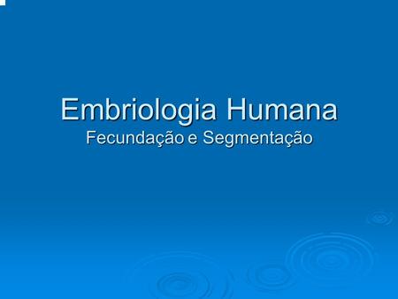 Embriologia Humana Fecundação e Segmentação