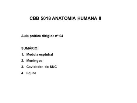 CBB 5018 ANATOMIA HUMANA II Aula prática dirigida nº 04 SUMÁRIO: