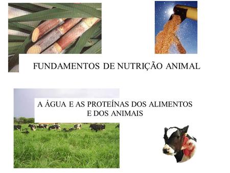 FUNDAMENTOS DE NUTRIÇÃO ANIMAL