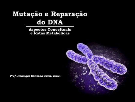 Mutação e Reparação do DNA