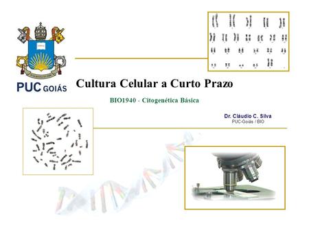 Cultura Celular a Curto Prazo BIO Citogenética Básica