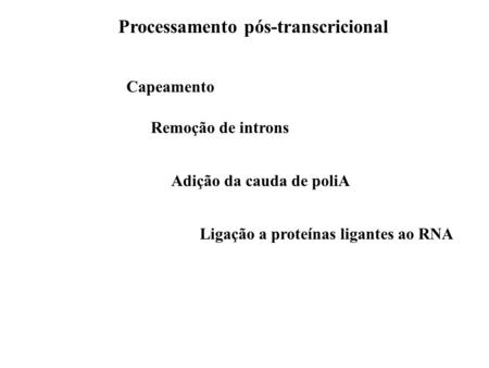 Processamento pós-transcricional