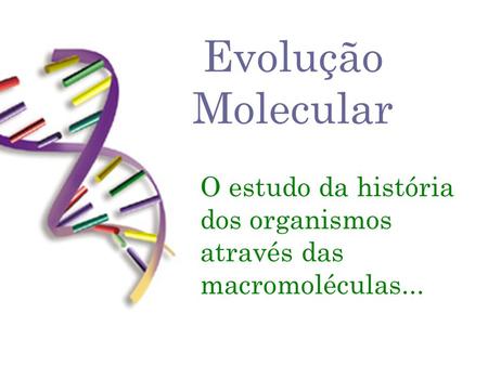 O estudo da história dos organismos através das macromoléculas...