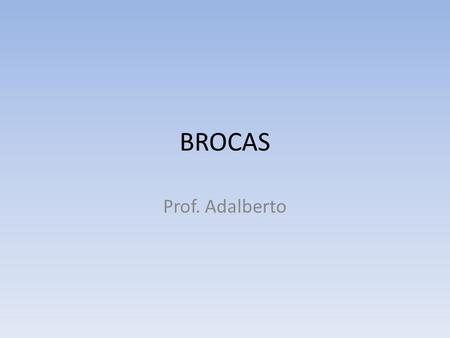 BROCAS Prof. Adalberto.