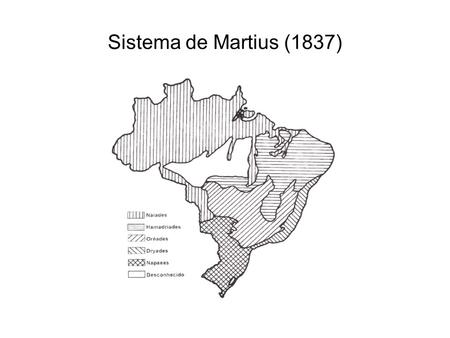 Sistema de Martius (1837).