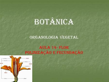 BOTÂNICA ORGANOLOGIA VEGETAL AULA 14- FLOR