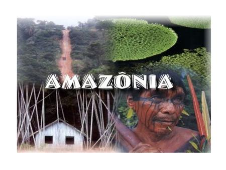 O complexo geoeconômico da Amazônia corresponde a cerca de 60% do território nacional, onde vivem apenas 7% de toda a população nacional, figura como.