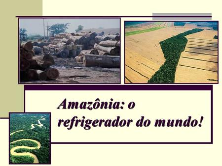 Amazônia: o refrigerador do mundo!