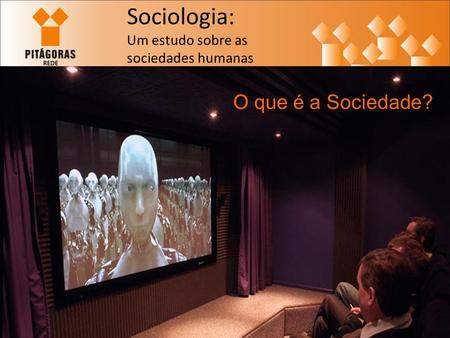 Sociologia: Um estudo sobre as sociedades humanas