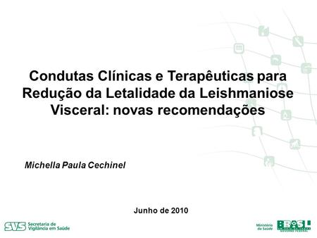 Condutas Clínicas e Terapêuticas para Redução da Letalidade da Leishmaniose Visceral: novas recomendações Michella Paula Cechinel Junho de 2010.