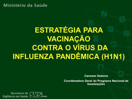 ESTRATÉGIA PARA VACINAÇÃO CONTRA O VÍRUS DA INFLUENZA PANDÊMICA (H1N1)