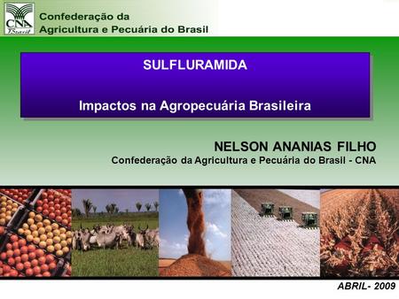 Impactos na Agropecuária Brasileira