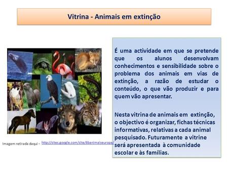 Vitrina - Animais em extinção