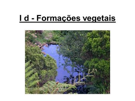 I d - Formações vegetais